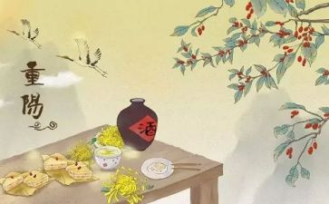 公司重阳节活动方案6篇