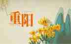 幼儿园重阳节活动方案参考6篇