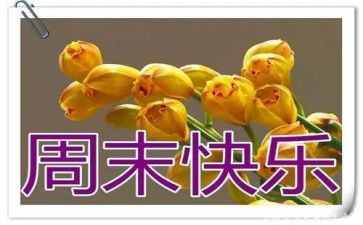 周末真开心作文5篇