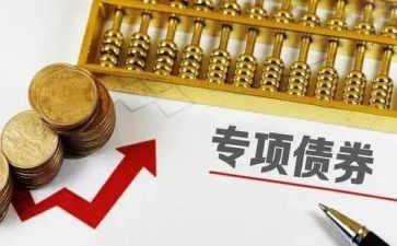 专项债自查报告推荐5篇