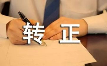 申请转正工作总结推荐8篇