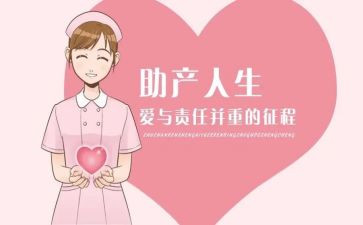 助产士年述职报告6篇