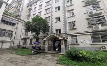 住户调查个工作总结8篇