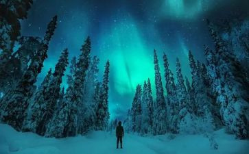 追寻作文精选5篇