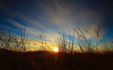 追寻作文优秀7篇