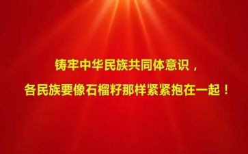 铸牢中华民族共同体的心得体会5篇