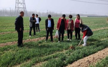 访农村助农村调研报告5篇