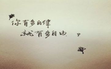 2024廉洁自律方面个人总结8篇