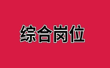 2024年银行综合岗工作总结5篇