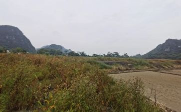 园区租赁合同6篇